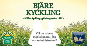 Läs mer om artikeln Vill du arbeta med ekonomi, lön och administration?