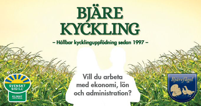 Du visar för närvarande Vill du arbeta med ekonomi, lön och administration?